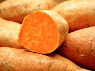 Look for herbs varieties such as wild yams and fenugreek as well as chaste berry
